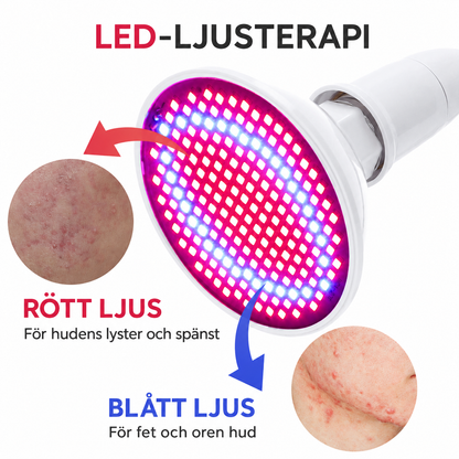 LED-lampa rödljusterapi